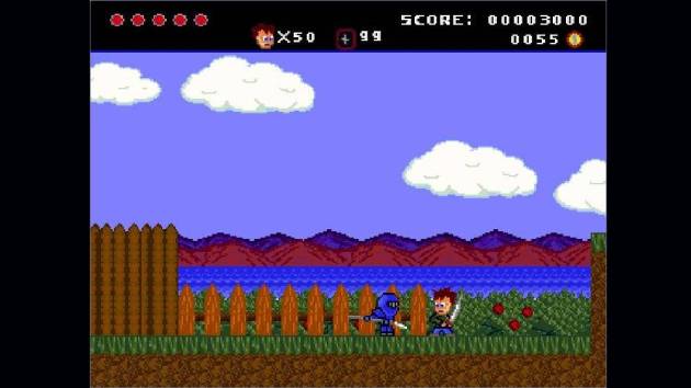 It really does have a bit of a Sega Master System look to it.  There was no problem with the graphics, besides item pick-ups being too small and samey. 